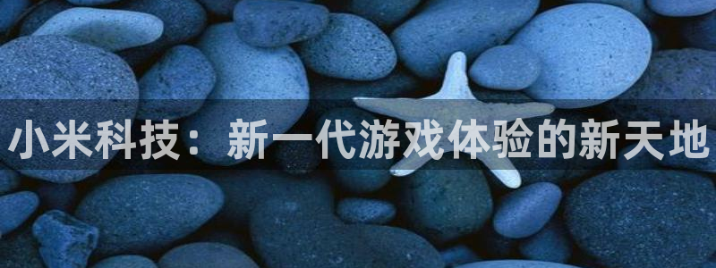 杜邦娱乐网页版地址：小米科技：新一代游戏体验的新天地