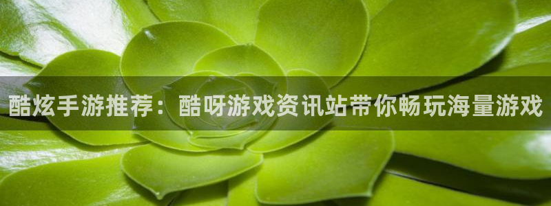 手机版杜邦娱乐客户端下载：酷炫手游推荐：酷呀游戏资讯站带你畅