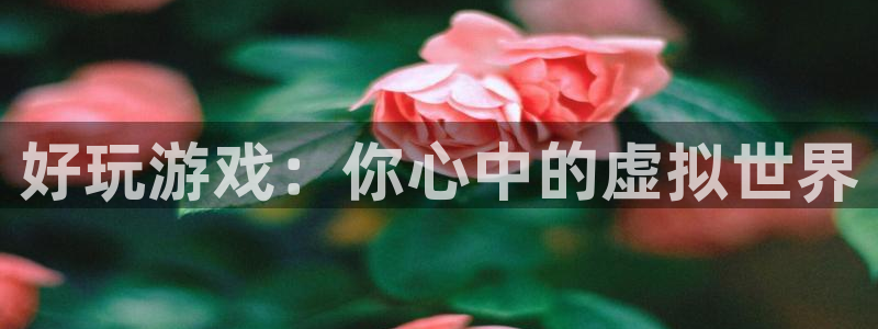 杜邦娱乐网页版地址：好玩游戏：你心中的虚拟世界