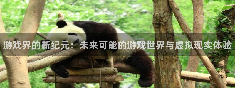 杜邦娱乐平台注册资金多少：游戏界的新纪元：未来可能的游戏世界