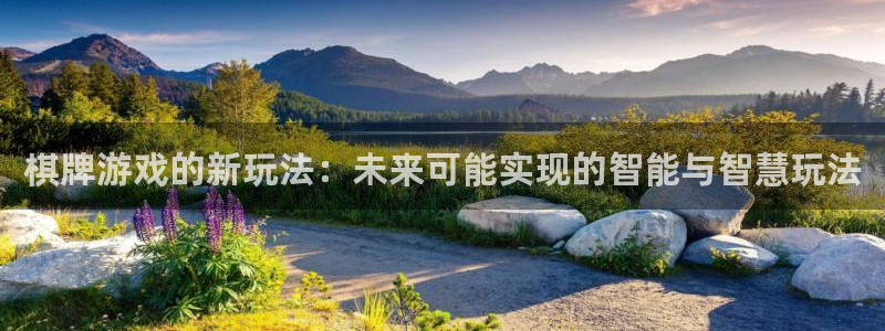 杜邦娱乐游戏：棋牌游戏的新玩法：未来可能实现的智能与智慧玩法