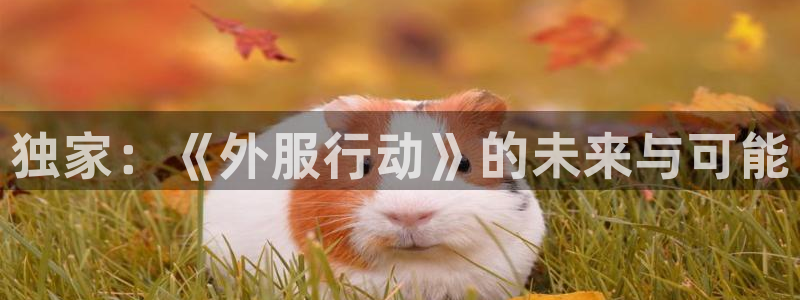 手机杜邦娱乐下载安装：独家：《外服行动》的未来与可能