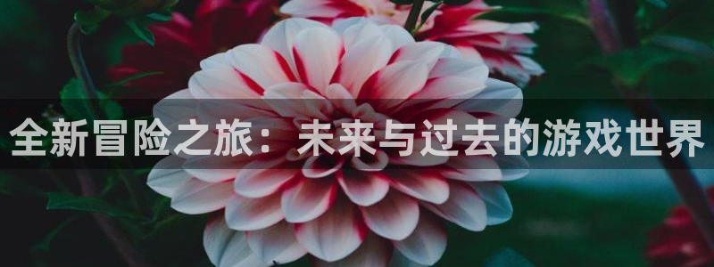 杜邦娱乐官网最新版本更新内容分享：全新冒险之旅：未来与过去的